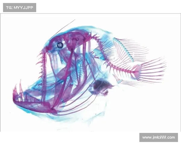 冰鳞蓝鱼的神秘面纱揭秘 深海生物之奥秘与未知世界的探索 冰鳞蓝鱼的神秘面纱揭秘 深海生物之奥秘与未知世界的探索